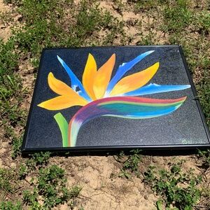 Bird of Paradise Flower